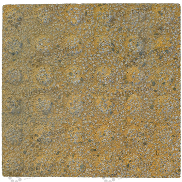 Warning Integrated Concrete Tactile 300x300x40mm - Rough Yellow [GTI-01CW-34RYL]